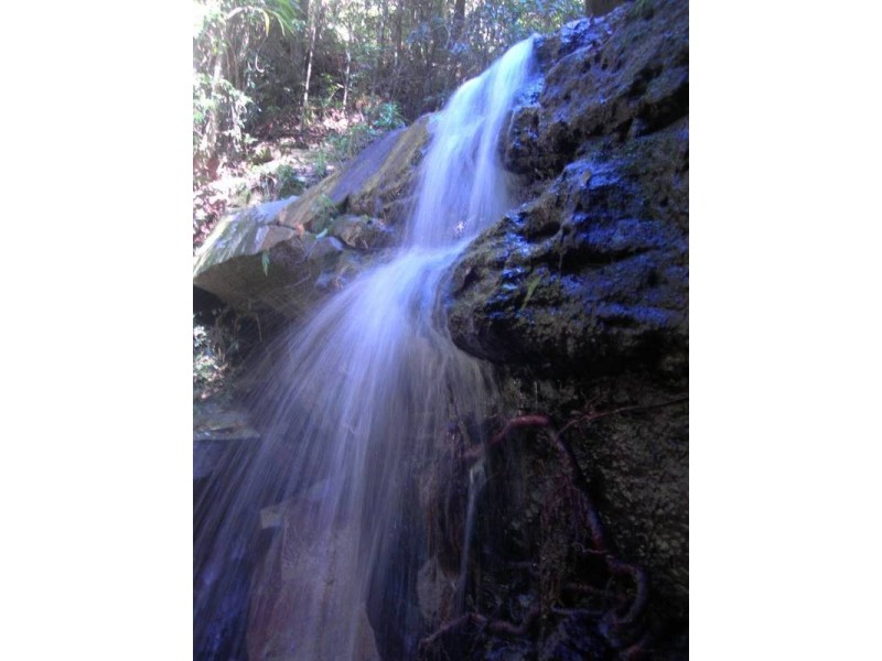 Maleny QLD 4552