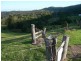 Maleny QLD 4552