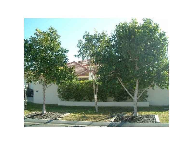 11 Pembroke Court, Sippy Downs QLD 4556