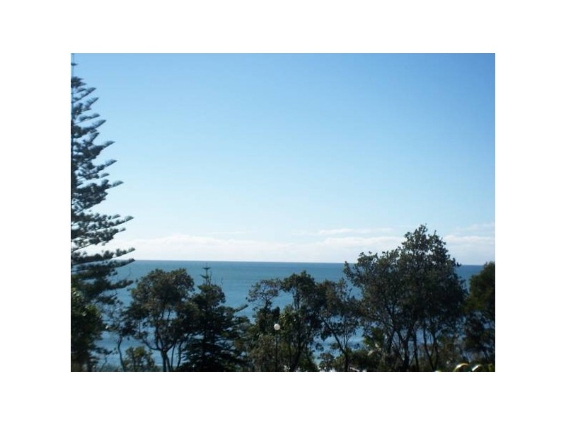 Mooloolaba QLD 4557