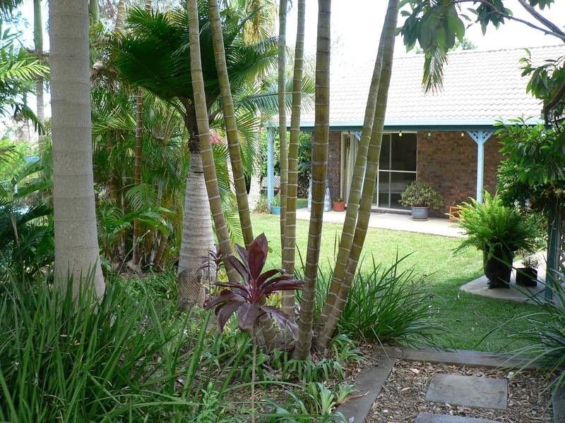 11 Barina Close, Pomona QLD 4568