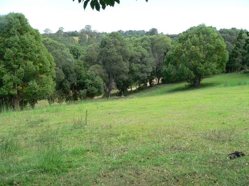 11 Barina Close, Pomona QLD 4568