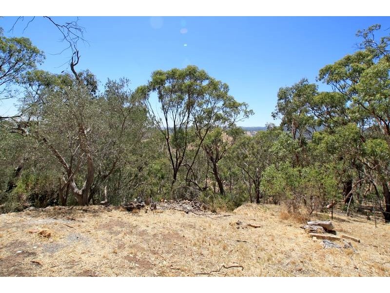 24 Burnell Drive, Belair SA 5052