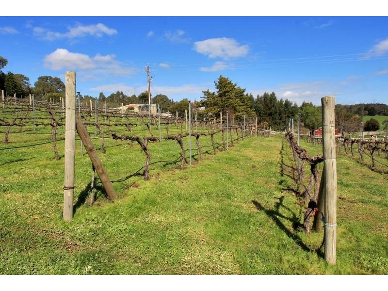 Lot 25,  Hicks Hill Road, Cherry Gardens SA 5157