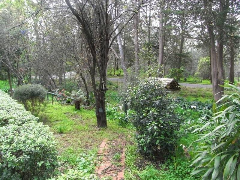 25 Acacia Road, Hawthorndene SA 5051