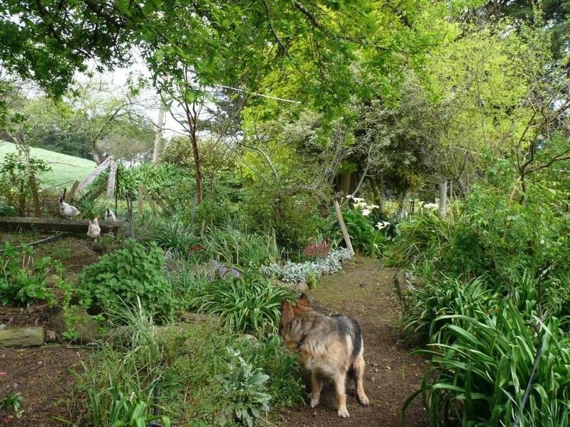 Lot 39,  Ridge Road, Ashton SA 5137