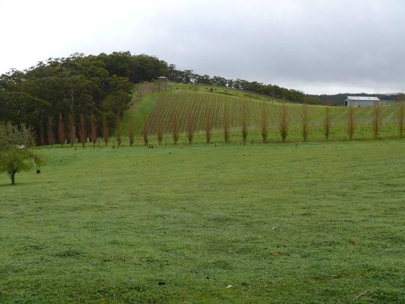 Lot 39,  Ridge Road, Ashton SA 5137