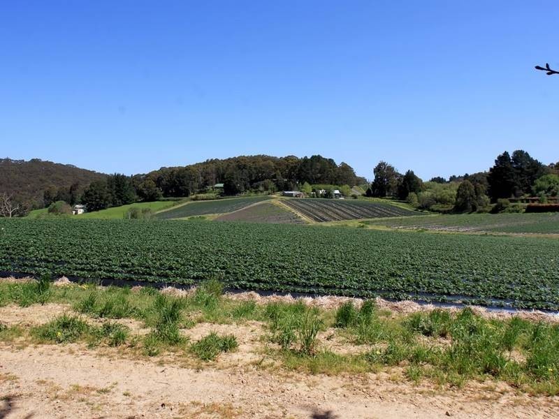 Lot 75 Sharps Road, Carey Gully SA 5144