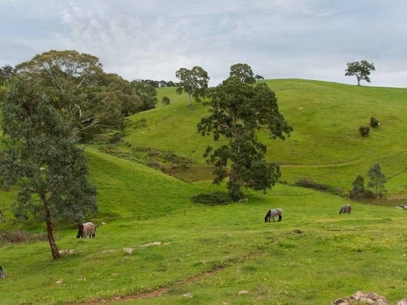 LOT 97 Cherry Gardens Road, Cherry Gardens SA 5157