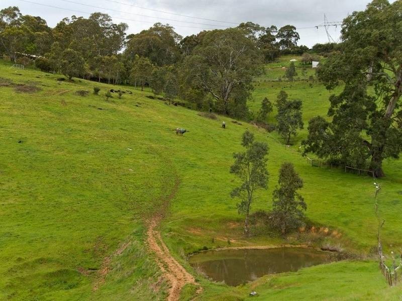 LOT 97 Cherry Gardens Road, Cherry Gardens SA 5157