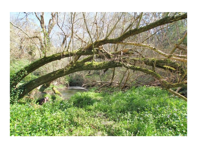 Lot 16,  Pole Road, Upper Sturt SA 5156