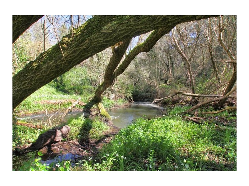 Lot 16,  Pole Road, Upper Sturt SA 5156