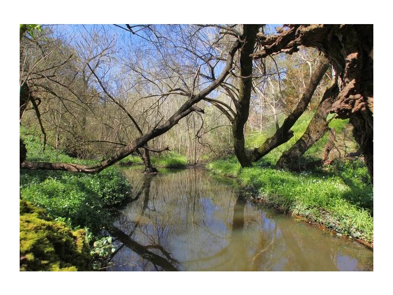 Lot 16,  Pole Road, Upper Sturt SA 5156