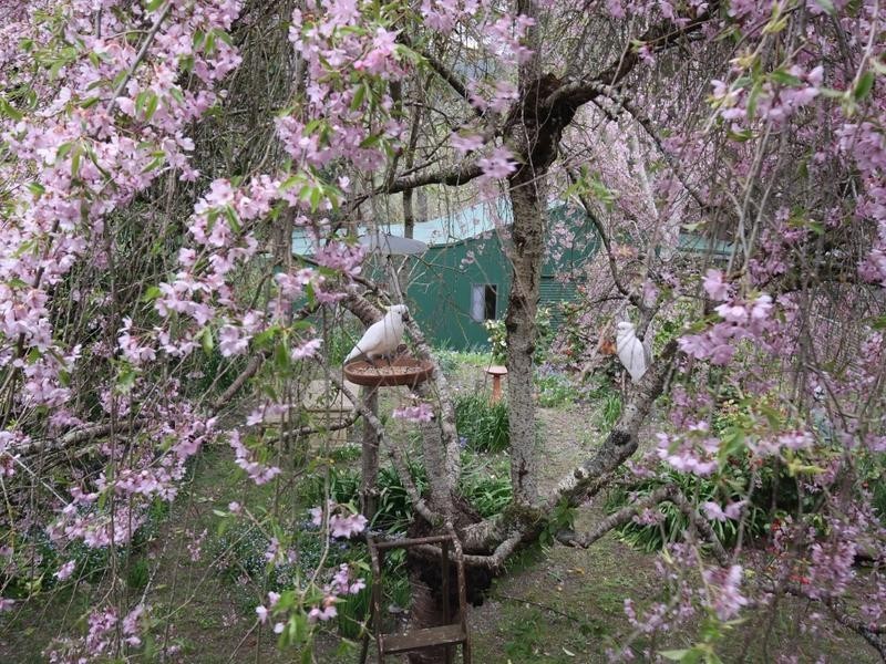 165 Piccadilly Road, Piccadilly SA 5151