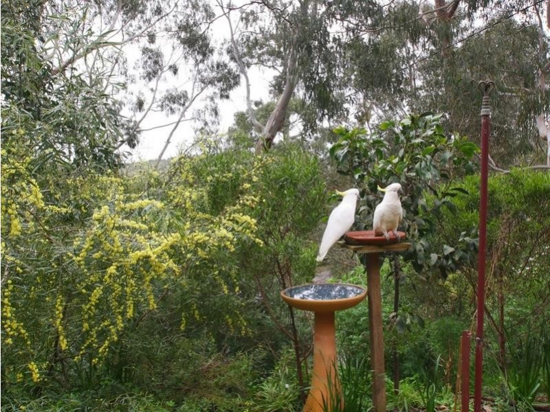 26 Parkgate Place, Upper Sturt SA 5156