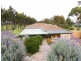 Lot 101 Old Bull Creek Road, Meadows SA 5201