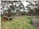 Lot 101 Old Bull Creek Road, Meadows SA 5201