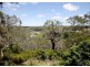 31 Highwood Grove, Upper Sturt SA 5156