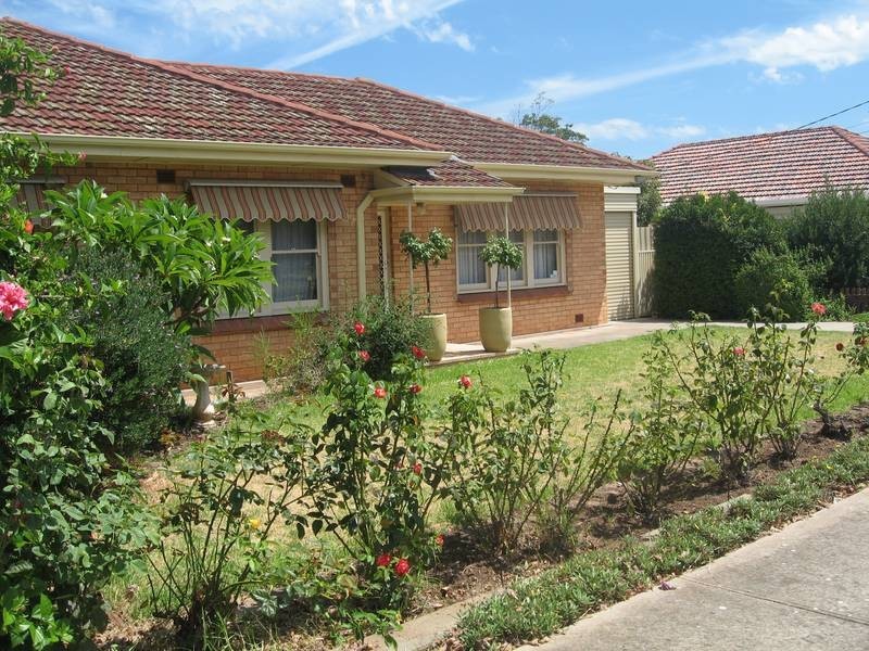 12 Douglas Street, Marion SA 5043