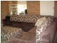 12 Douglas Street, Marion SA 5043