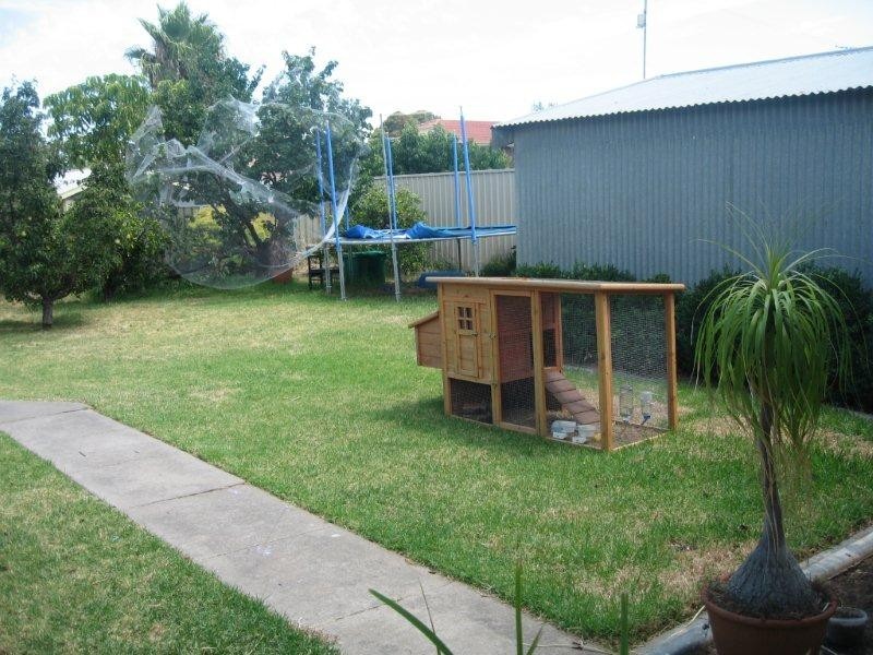 12 Douglas Street, Marion SA 5043