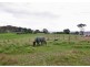 Lot 1 Paris Creek Road, Paris Creek SA 5201