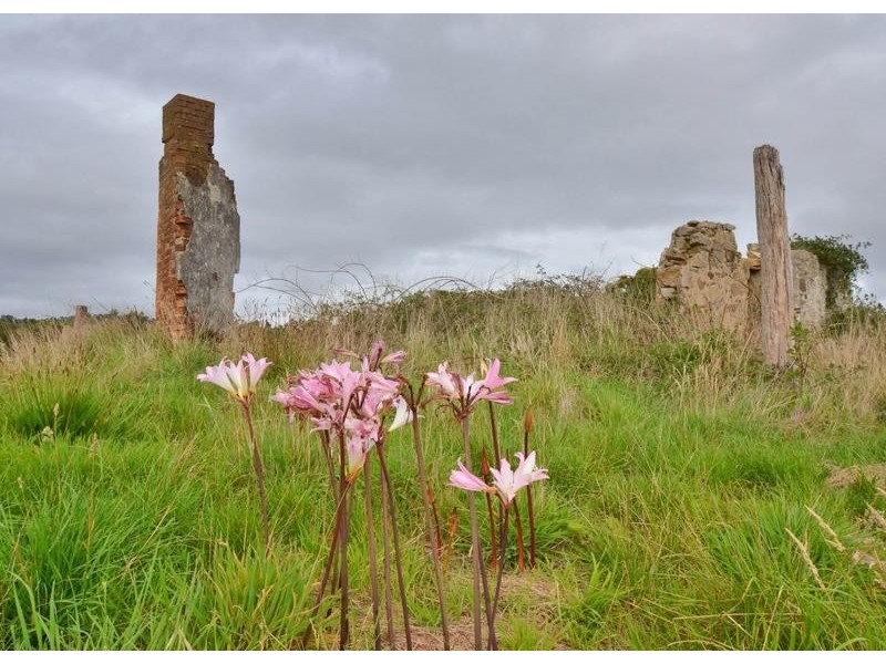 Lot 22 Scott Creek Road, Scott Creek SA 5153