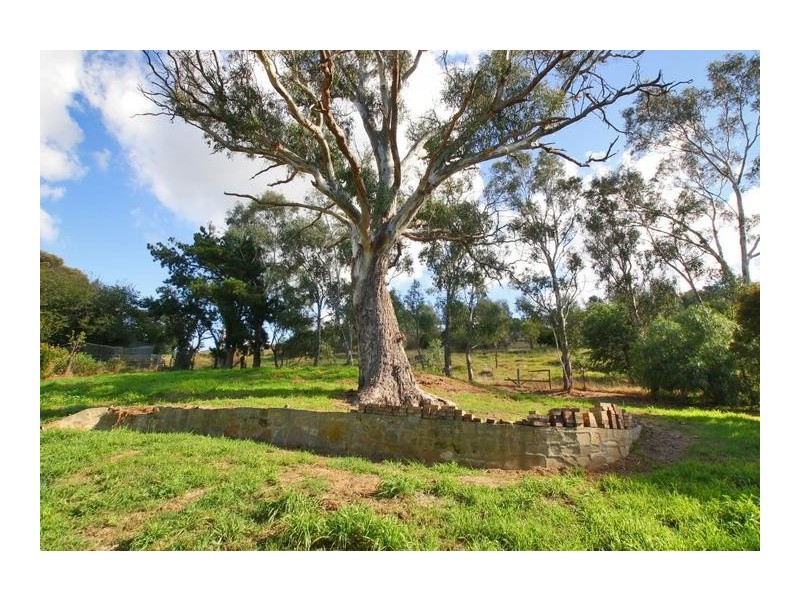 21-23 Donald Street, Dawesley SA 5252