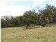 Sec 1139 Scott Creek Road, Scott Creek SA 5153
