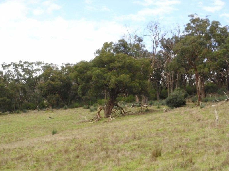 Sec 1139 Scott Creek Road, Scott Creek SA 5153