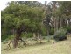 Sec 1139 Scott Creek Road, Scott Creek SA 5153