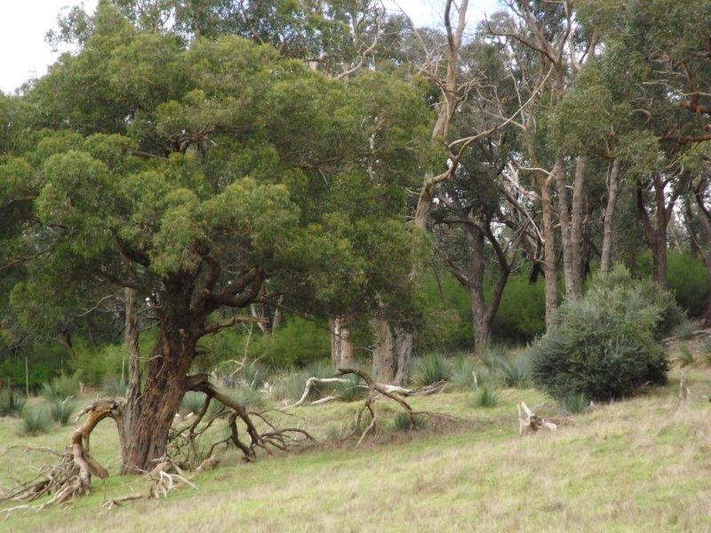Sec 1139 Scott Creek Road, Scott Creek SA 5153