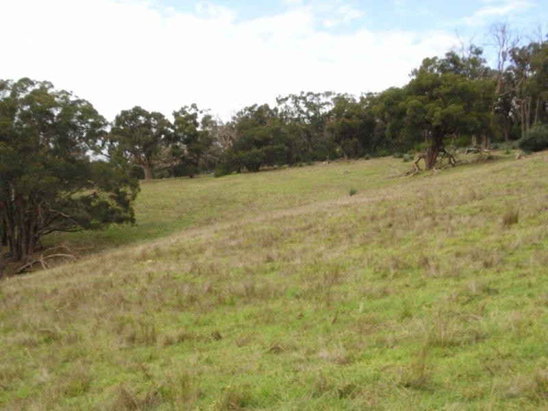 Sec 1139 Scott Creek Road, Scott Creek SA 5153