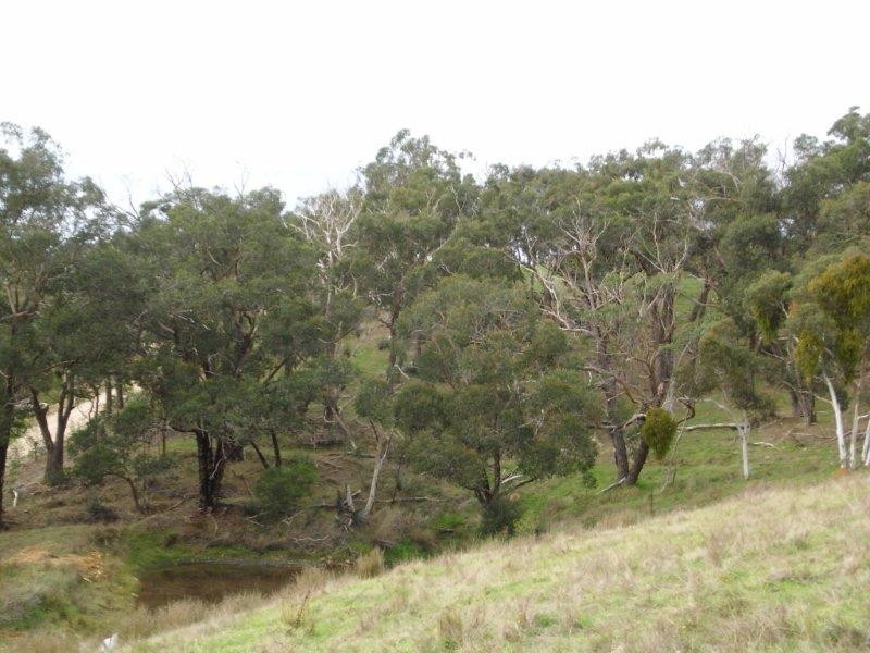 Sec 1139 Scott Creek Road, Scott Creek SA 5153