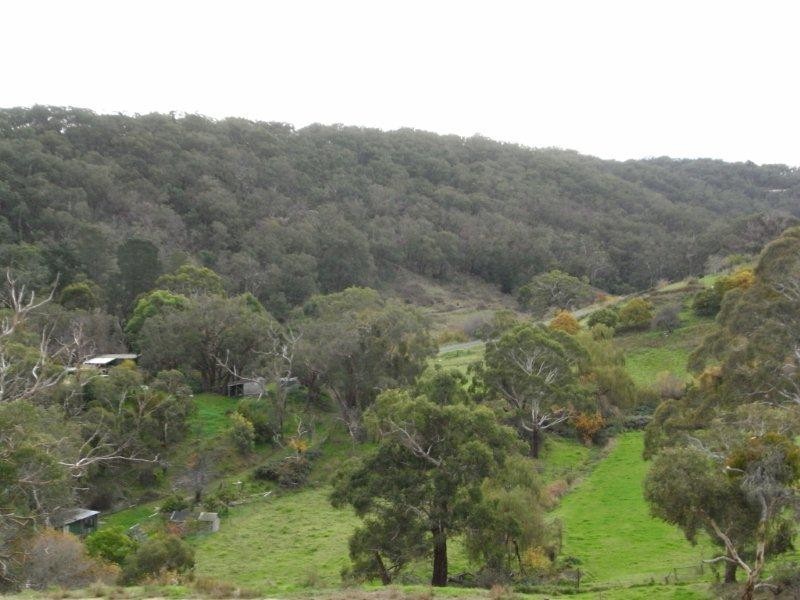 Sec 1139 Scott Creek Road, Scott Creek SA 5153