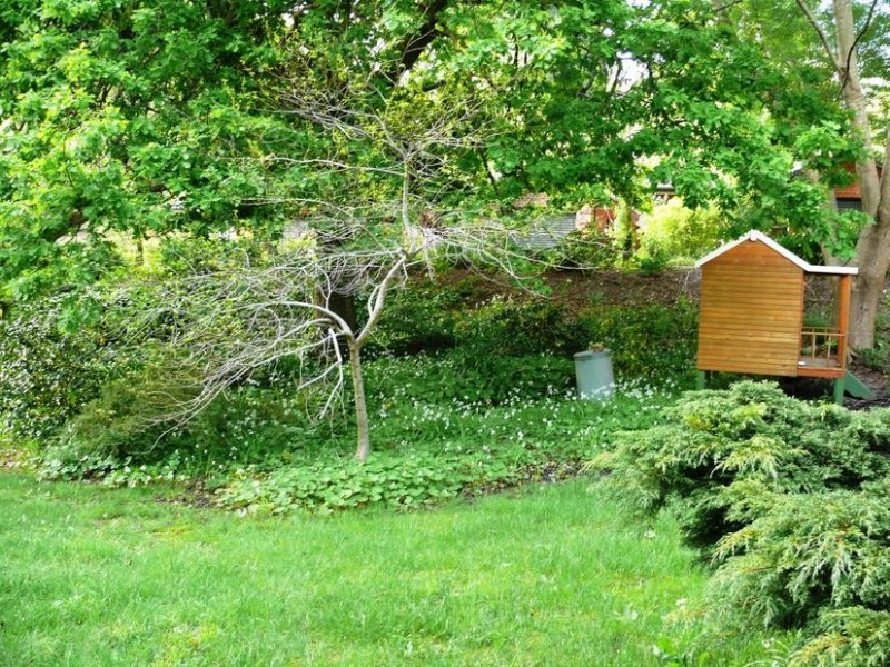 30 Mabel Street, Stirling SA 5152