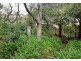 40 Avenue Road, Stirling SA 5152