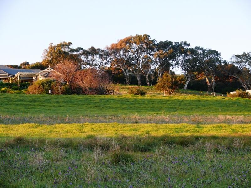 Lot 316,  Mitchell Heights, Normanville SA 5204