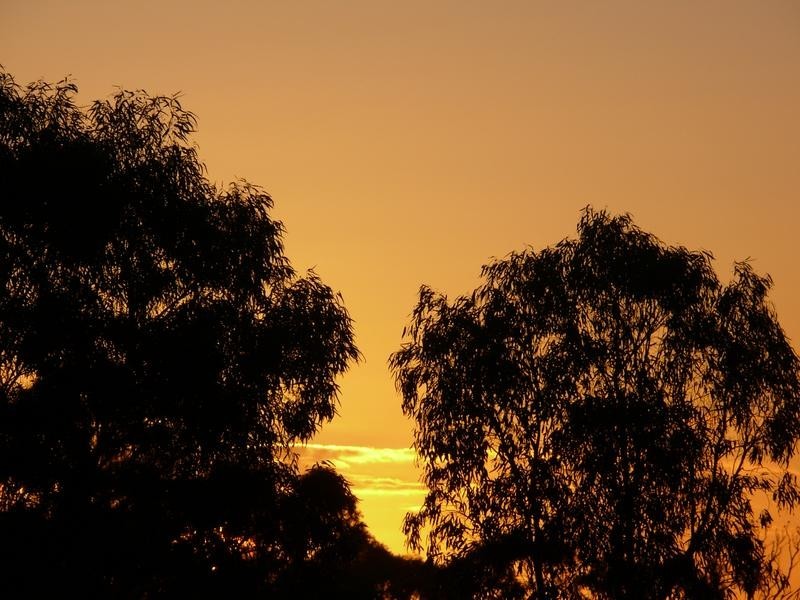 Lot 316,  Mitchell Heights, Normanville SA 5204