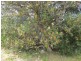 Lot 178 Nepean Esplanade, Nepean Bay SA 5223