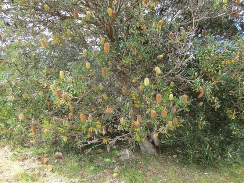 Lot 178 Nepean Esplanade, Nepean Bay SA 5223