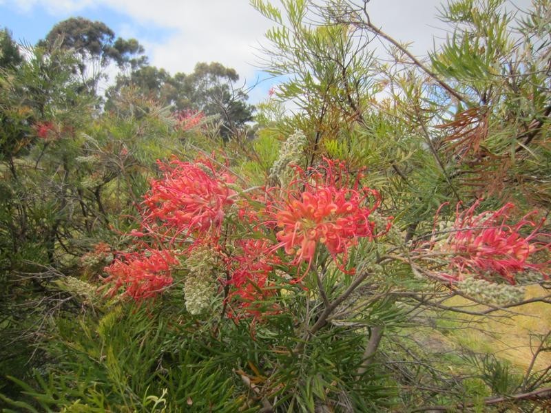 Lot 178 Nepean Esplanade, Nepean Bay SA 5223