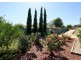 33 Young Street, Sheidow Park SA 5158