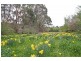 33 Old Mount Barker Road, Crafers SA 5152
