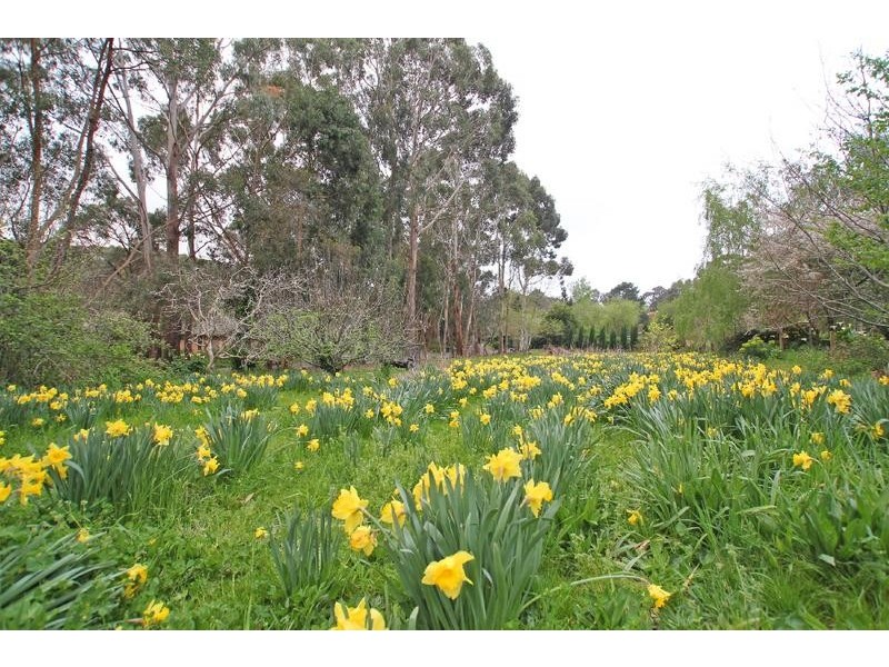 33 Old Mount Barker Road, Crafers SA 5152