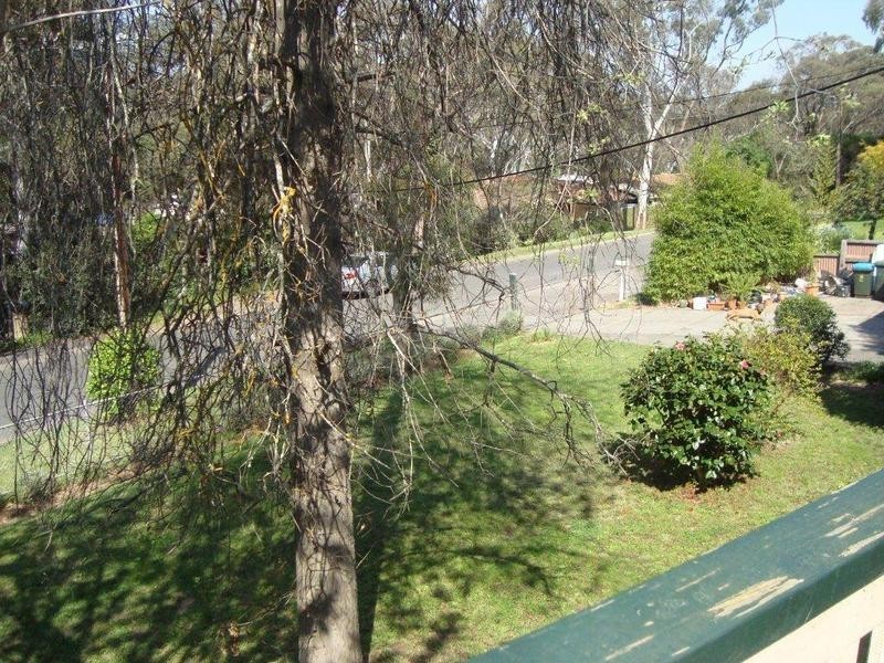 8 Cypress Ave, Hawthorndene SA 5051