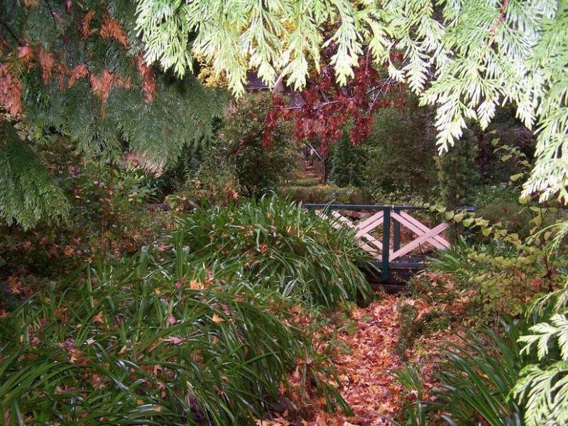 40 Avenue Road, Stirling SA 5152