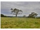 67 Yunkunga Road, Mount Barker SA 5251