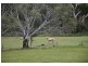 67 Yunkunga Road, Mount Barker SA 5251