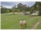 67 Yunkunga Road, Mount Barker SA 5251
